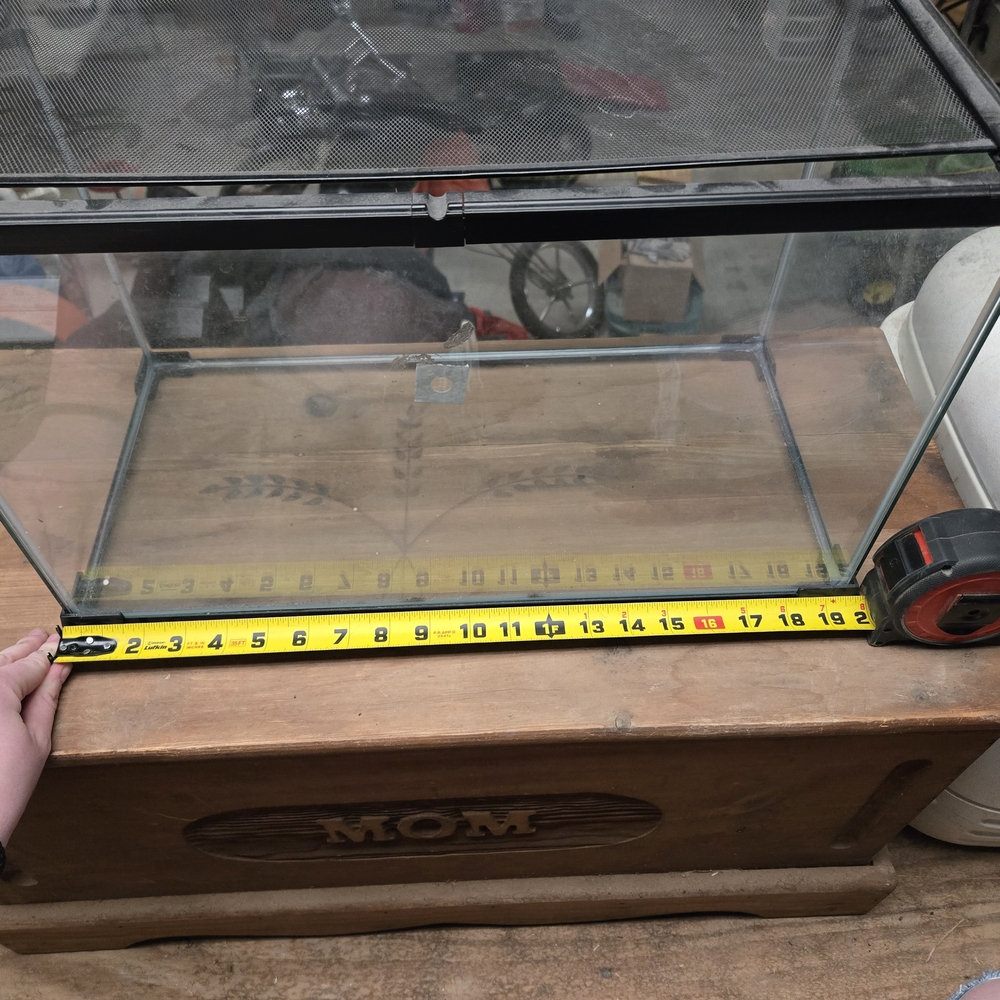 Glass Terrarium with Black Frame